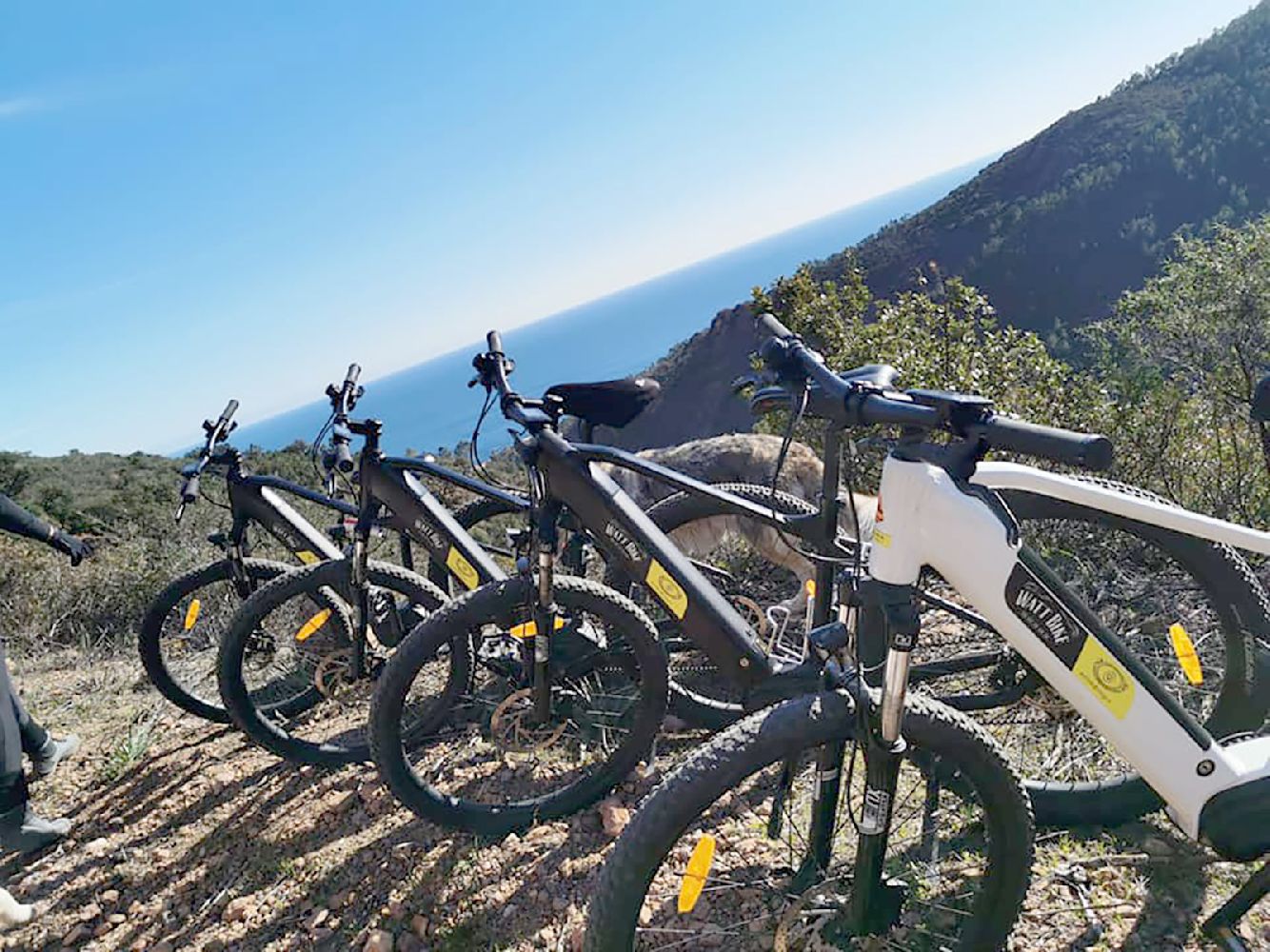 Es sales watt bici