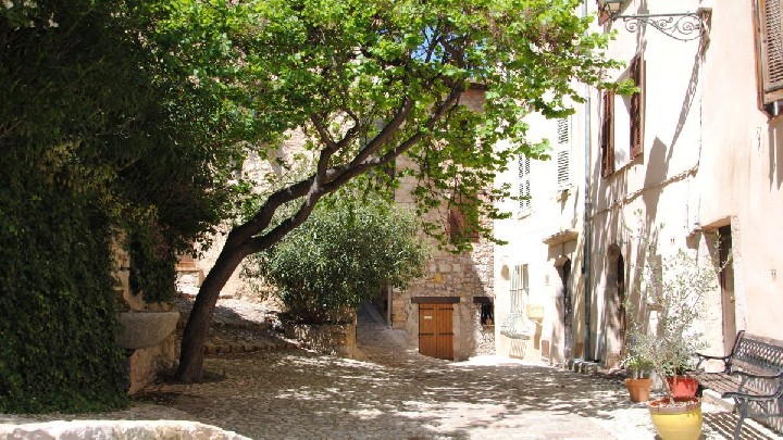 Promenade botanique