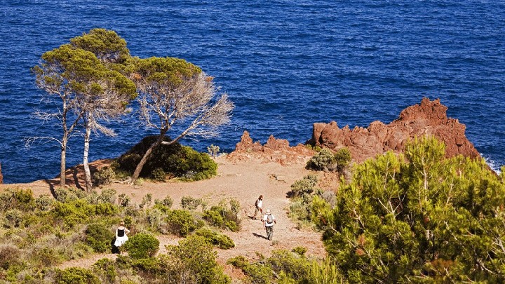 Randonnée : Le Sentier du LIttoral