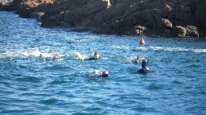 Randonnée palmée - Port de Boulouris