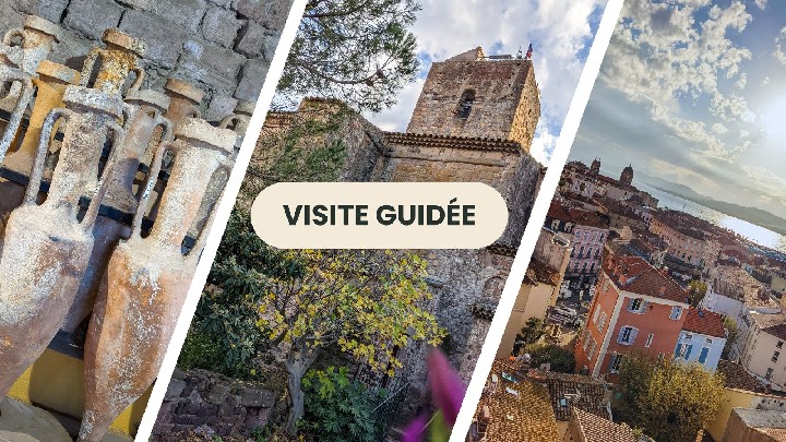 Guided Tour: 