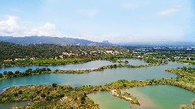 Etangs de Villepey, petite camargue du Var