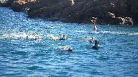 Randonnée palmée - Port de Boulouris