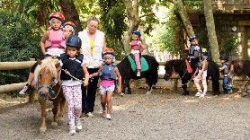 Séance les bébés cavaliers