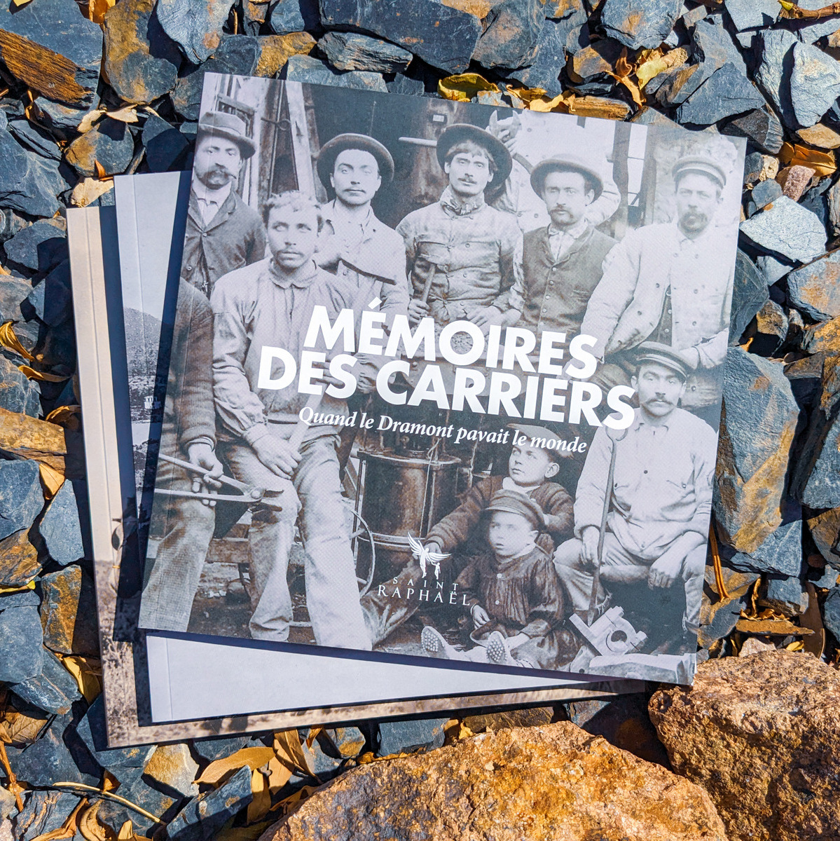 Livre Mémoires des Carriers 