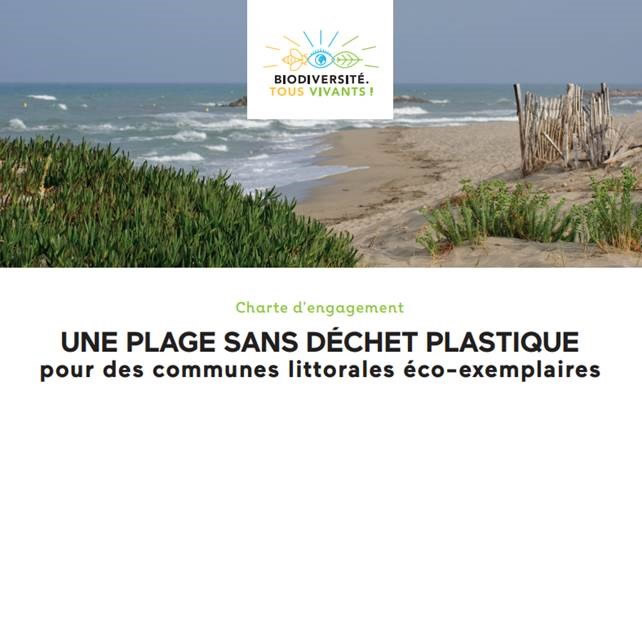 Plage sans déchet plastique