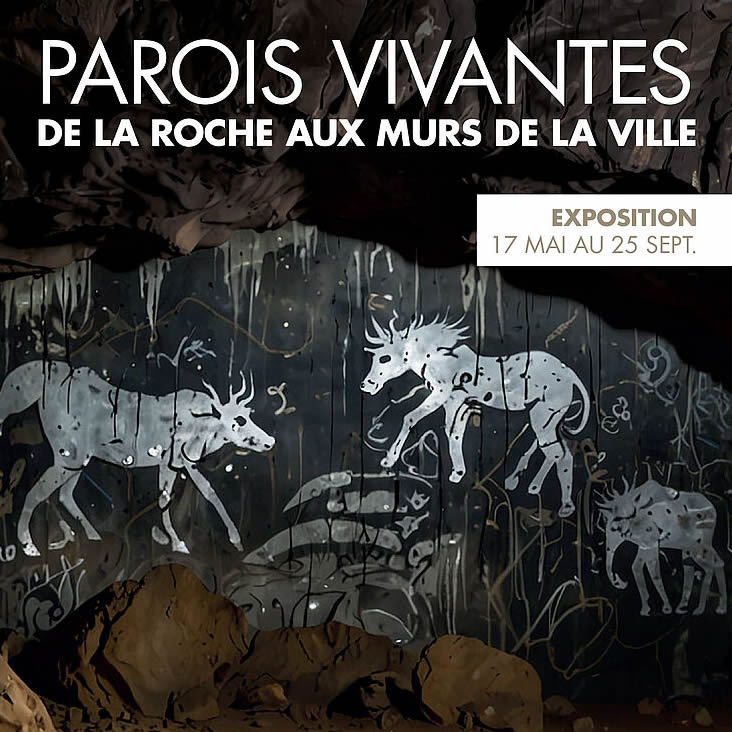 Parois vivantes, de la roche aux murs de la ville