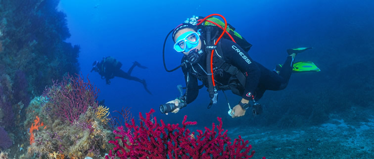 Plongée sous-marine