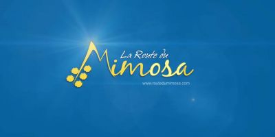 Route du Mimosa