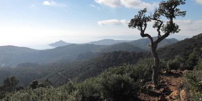 Massif de l'Estérel